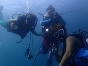 scuba diving mahaloの写真4