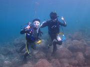 DIVING SHOP SEVEN7の写真4