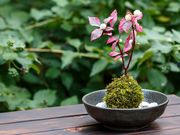 アトリエひまわりの写真3