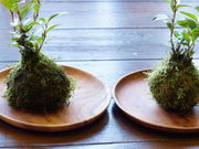 アトリエひまわりの写真4