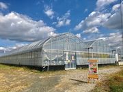 まつもとファーム オールいちごハウスの写真4