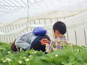 Farmer大百笑の写真3