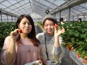 あさひふぁ〜むの写真4
