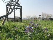 ハーブ農園 ペザンの写真2
