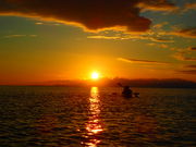 石垣島 ADVENTURE PiPiの写真2
