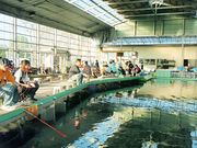 フィッシュランド丸宮の写真4