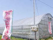 苺工房たけうちの写真4