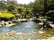 旅館 一乃松の写真2