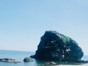 恵比須島の写真1