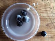 floresta fabrica glass atelierの写真2