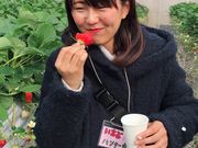 森のいちごの写真3