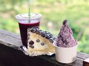 みなかみフルーツランドモギトーレの写真4