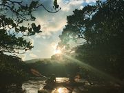 Amanicoガイドサービスの写真4