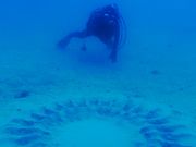 奄美大島北部 あまみこダイバーの写真2