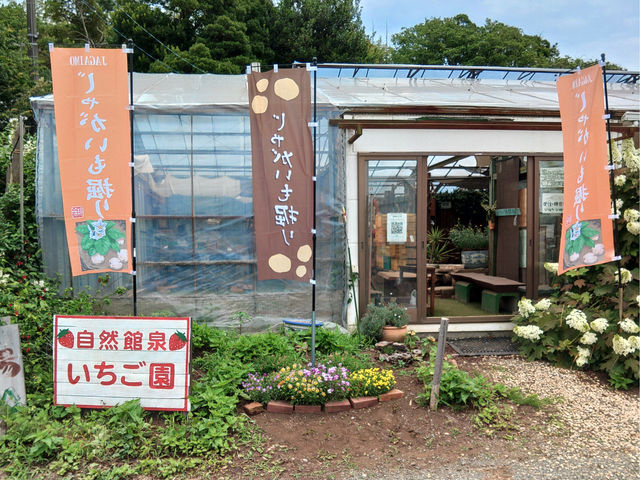 【自然館泉 直売所】いちご狩り、芋掘り、キャンプ受付_自然館泉