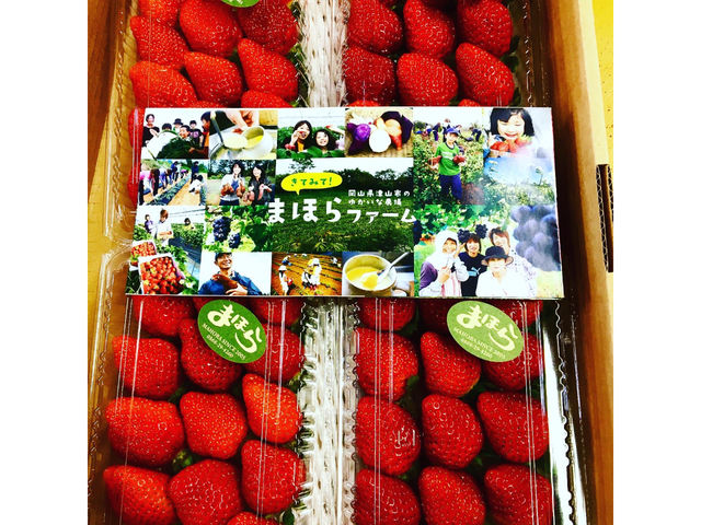 事前にお申し込み頂ければお持ち帰り用もご用意出来ます。2000円税込_鏡野いちご園