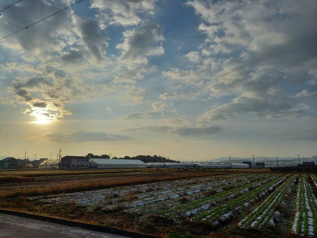 農園の前では移り変わる四季のいろんな空模様が見れます♪_おさぜん農園