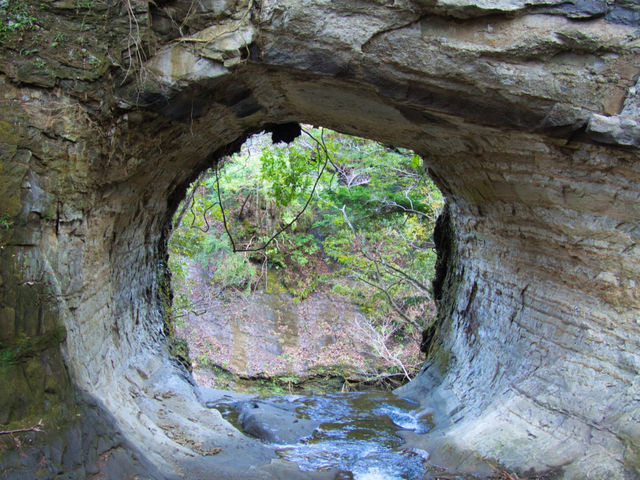 川回し開墾場の山林からの景観_奥米・木村農園