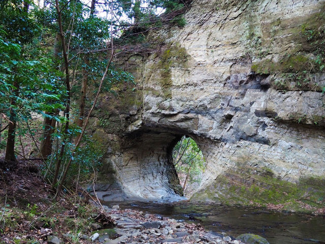 奥米・木村農園