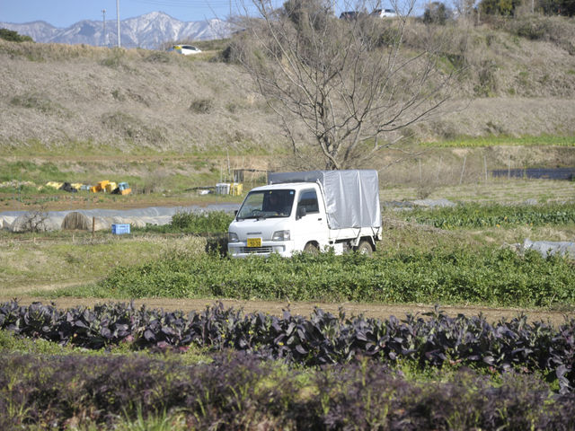 はなまる農園