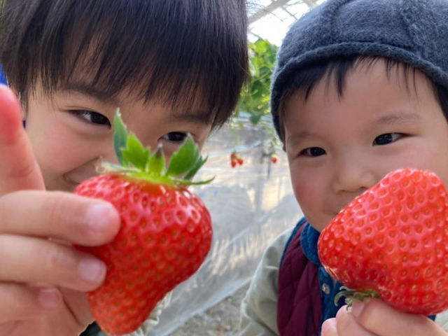 いちごファーム ふじむら