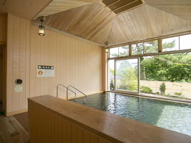 内湯(微温浴)_元湯 森の湯