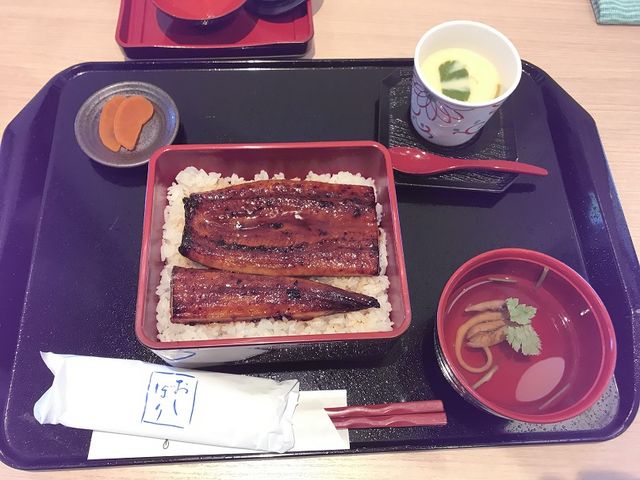 うなぎの駅