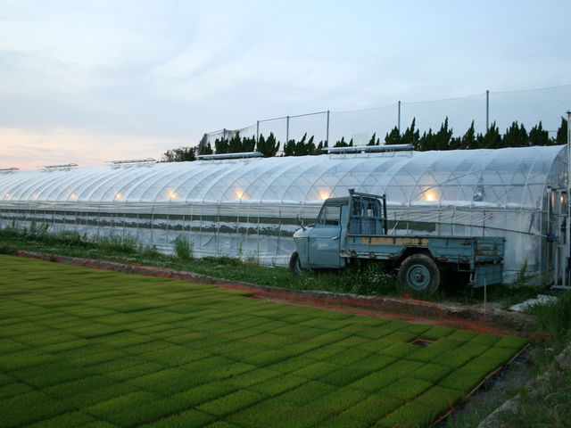 南農園