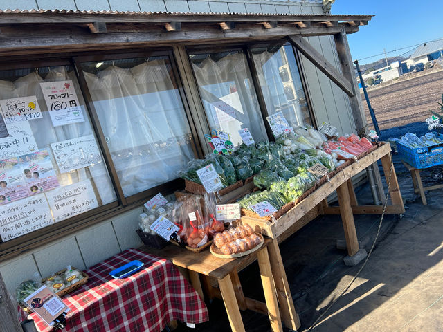 直売所でお野菜、たまご、いちご販売中_ゆうゆう農場