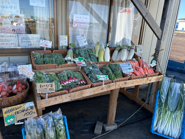 採れたての新鮮なお野菜も販売中_ゆうゆう農場