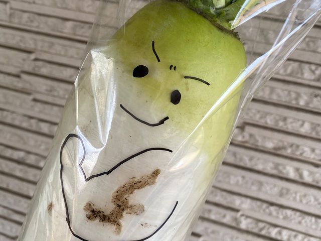 傷や形がヘンテコな野菜たちは、女性スタッフがイラストを描いて生まれ変わらせます!_ゆうゆう農場