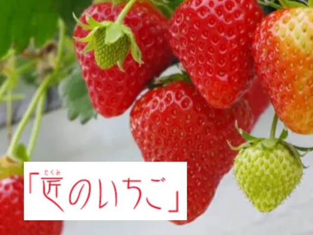 「匠のいちご」40分食べ放題!_稲鍵ファーム(有馬富士)