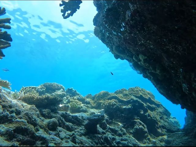 非日常の海の世界へ!_マリーナエイト