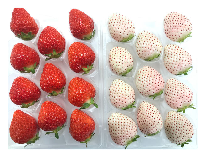 ハヤシダファーム