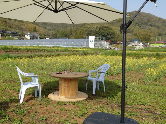 里山の農園で、のんびりできます♪_花祭いちごの谷