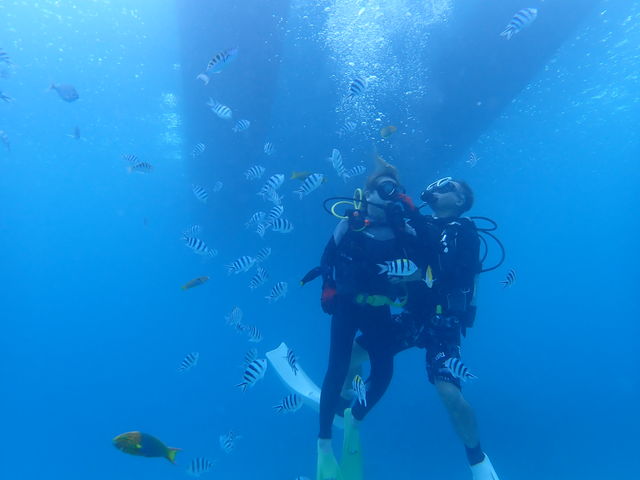 OAS Marine Service