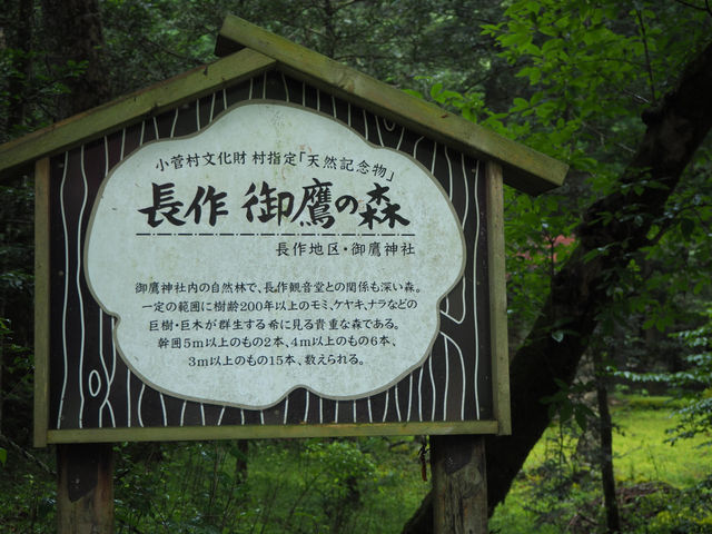 御鷹の森