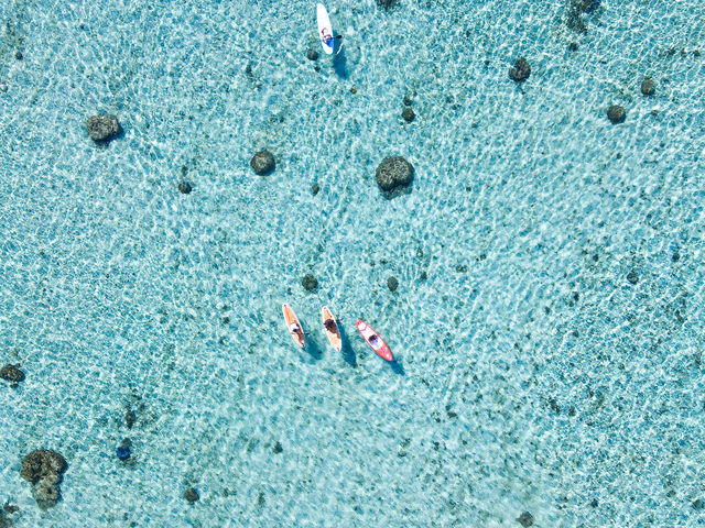 透明度の高い海!!!_TarzanWorld
