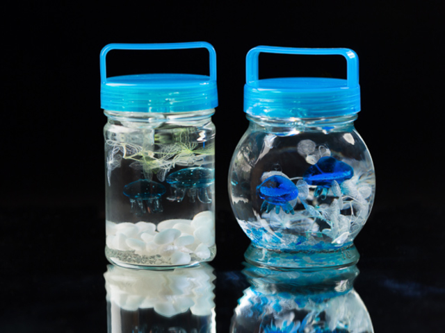 クラゲリウム(ミニ水族館)ガラス細工1点含むセット料金。小石を入れてブリザーブドフラワーを自由に選んで入れ、浮き玉ガラス細工を入れたら出来上がり♪_アイクリエーション アート工房