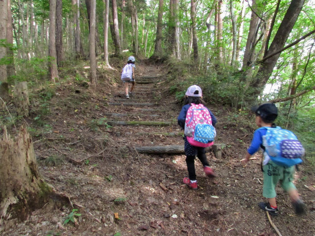 三ツ子山