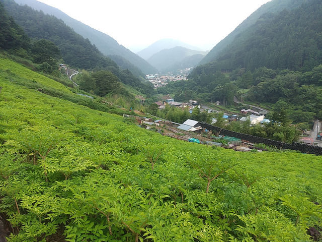八幡神社