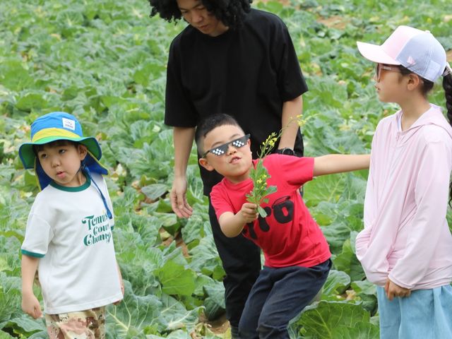 小さなお子さんでも楽しめます!_Hennery Farm