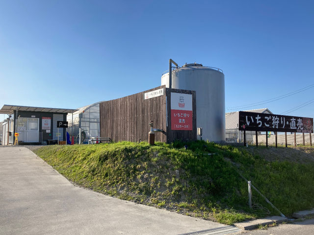 very beery farm 外観_very berry farm