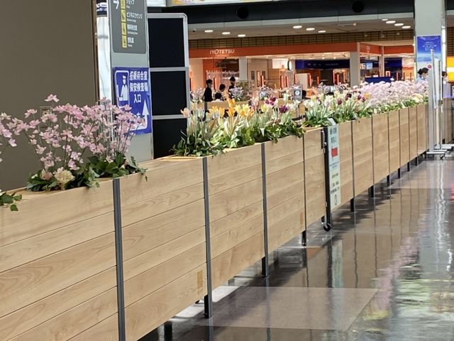 愛媛県松山空港保安検査場前布花「さくらひめ」展示_株式会社FlowerポプリHouse