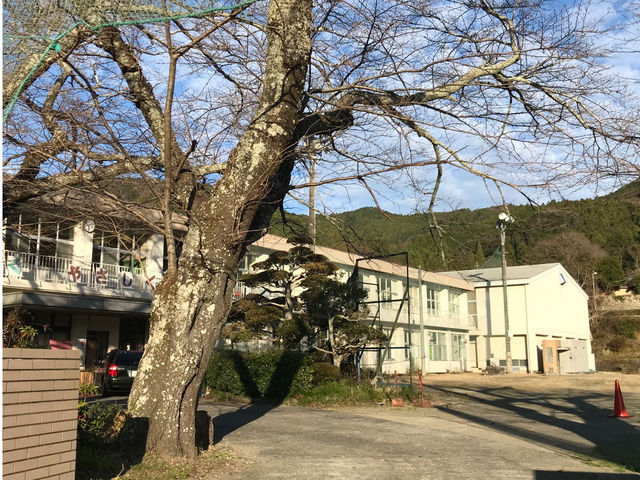 廃校になった小学校の空き教室を、陶芸工房に改装しました。
初めての方もお気軽にお越しください。
ナビには『さくら咲く学校』とご入力して下さい。_原泉陶芸工房