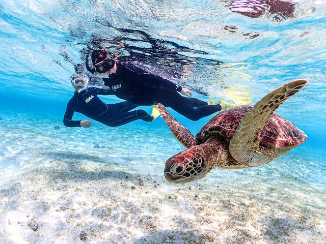 Okinawa trips