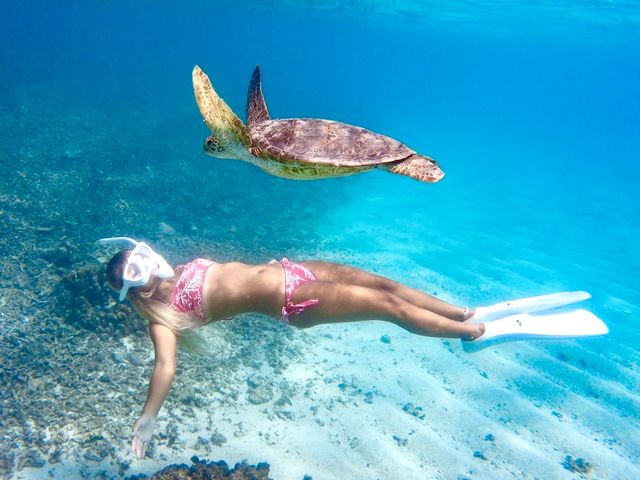人気沸騰中の海亀ツアー!浅い海なので家族に初心者に大人気!_宮古島ユニの浜ツアー(ボートで行く)