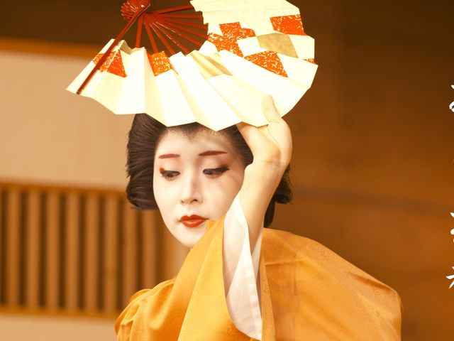 みーと芸者