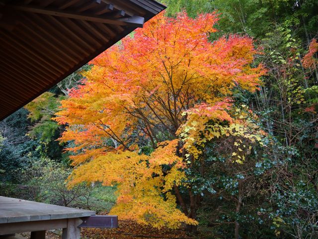 安房高野山 妙音院