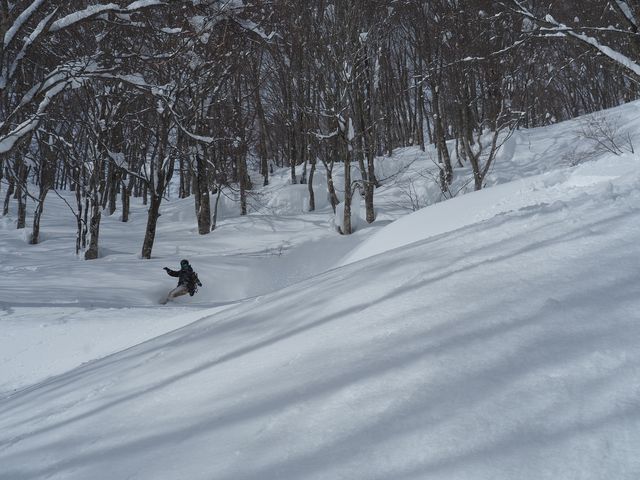 hakuba OP